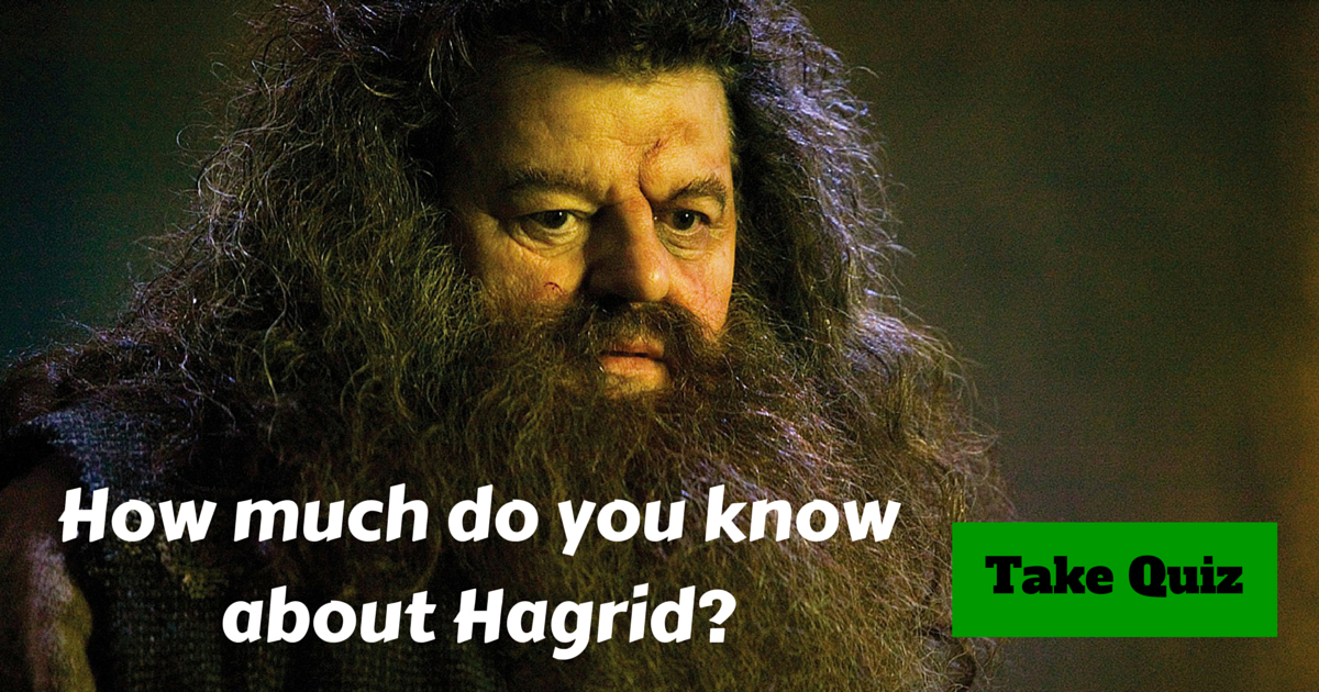 Harry Potter Hagrid Trivia